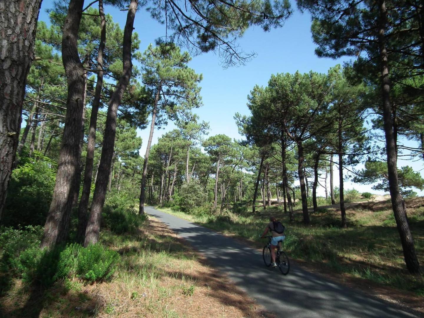Ronce-Les-Bains - Appartement Rez-De-Chaussee Droit - 90M De La Plage Eksteriør billede